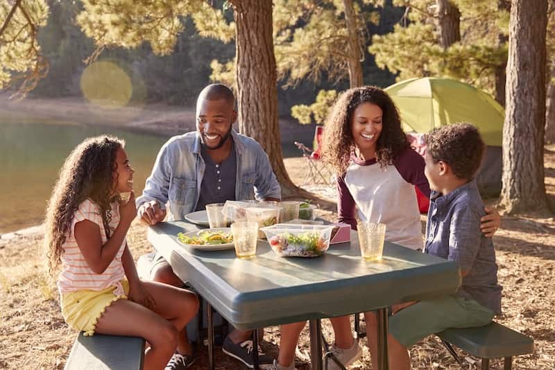 Black family with children at a picnic